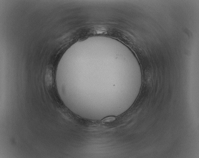 X0000116621442200912241743