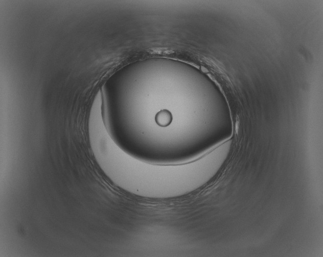 X0000116621444200912241743