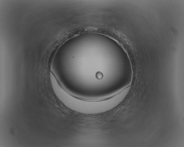 X0000116621445200912241743