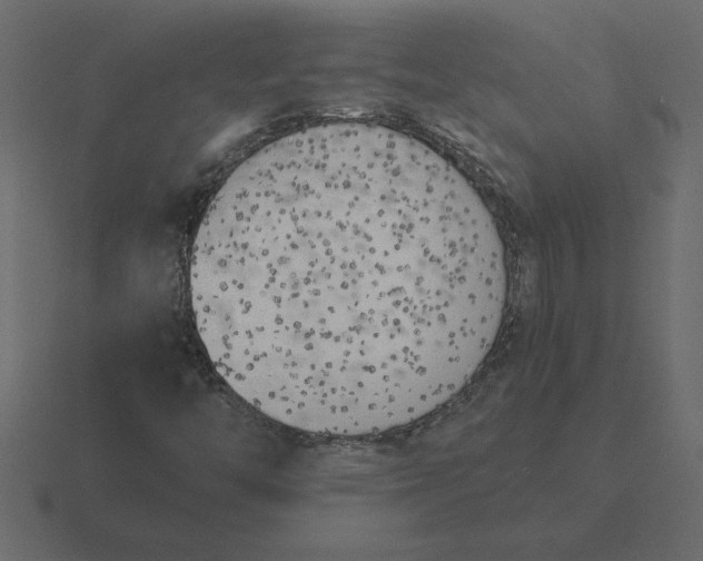 X0000116621446200912241743