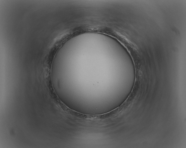 X0000116621447200912241743