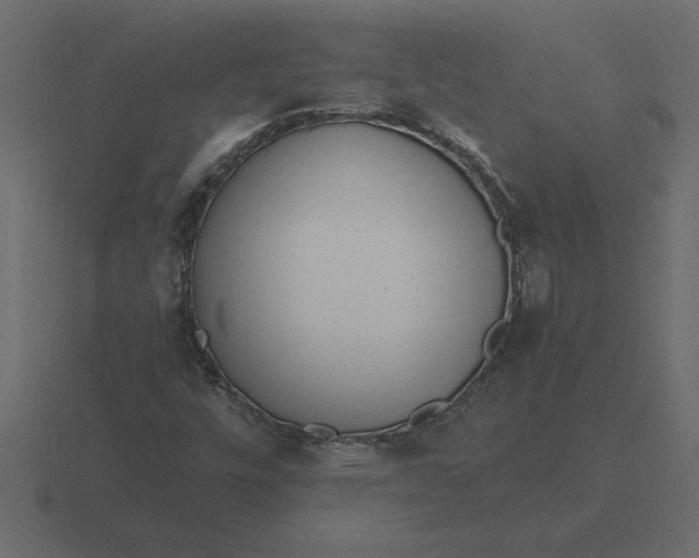 X0000116621448200912241743