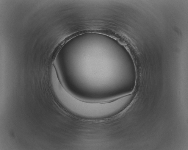 X0000116621449200912241743