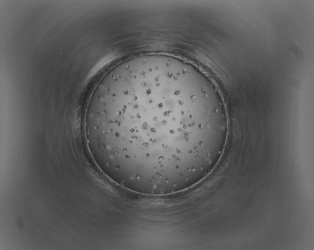 X0000116621450200912241743