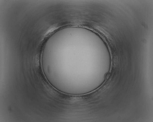 X0000116621451200912241743