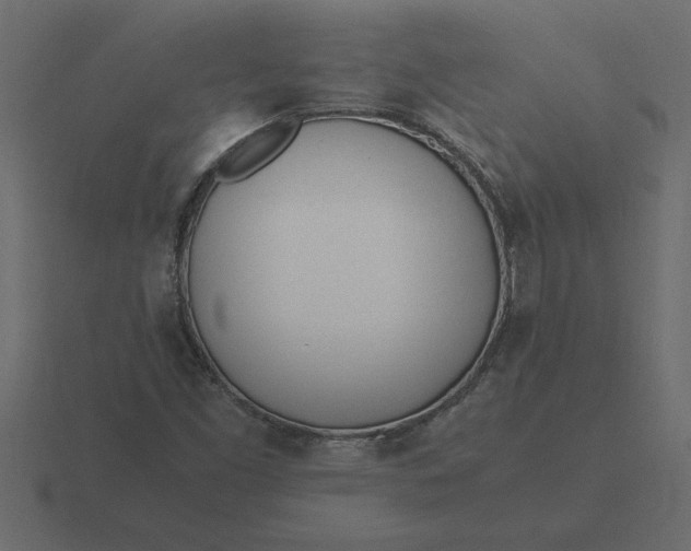 X0000116621453200912241743