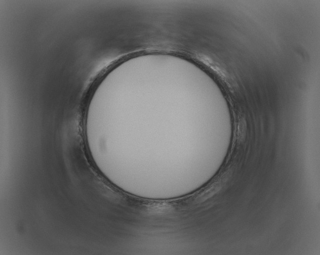 X0000116621454200912241743