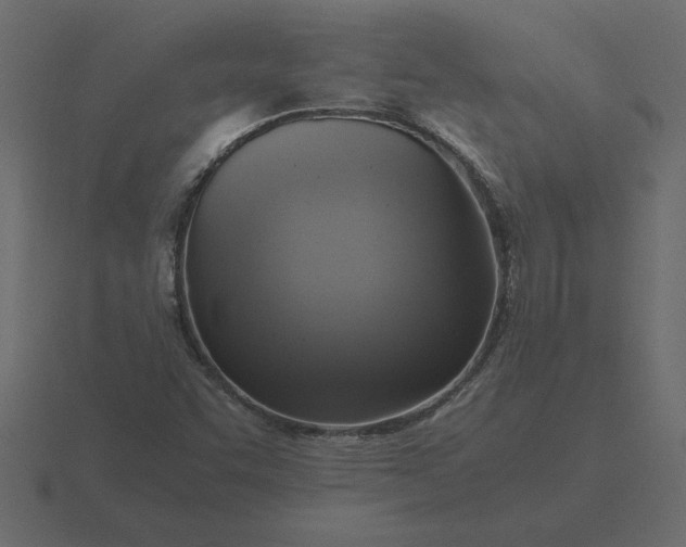 X0000116621455200912241743