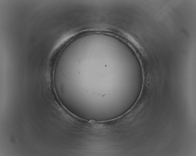 X0000116621456200912241743