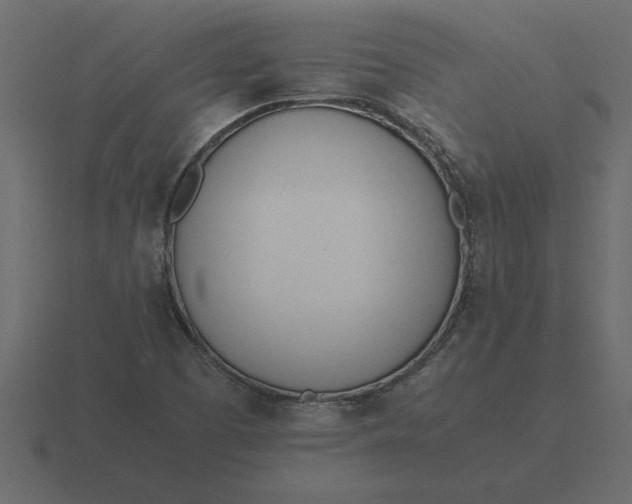 X0000116621457200912241743