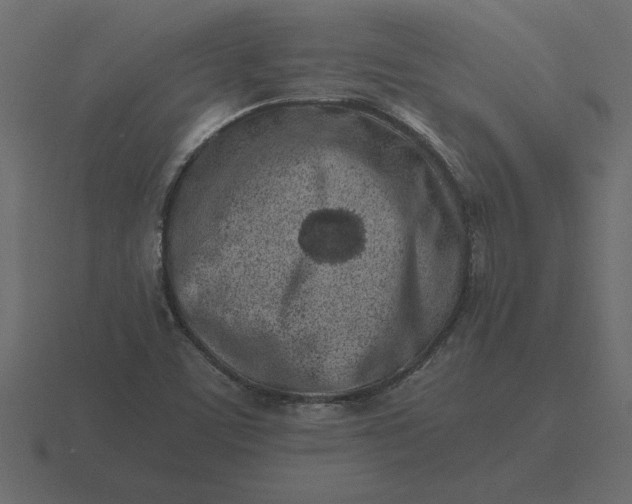 X0000116621459200912241743