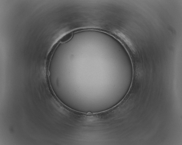 X0000116621460200912241743