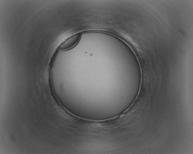 X0000116621463200912241743