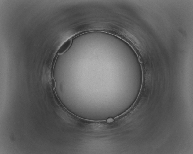 X0000116621465200912241743