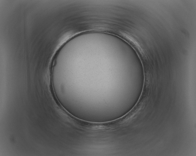 X0000116621467200912241743