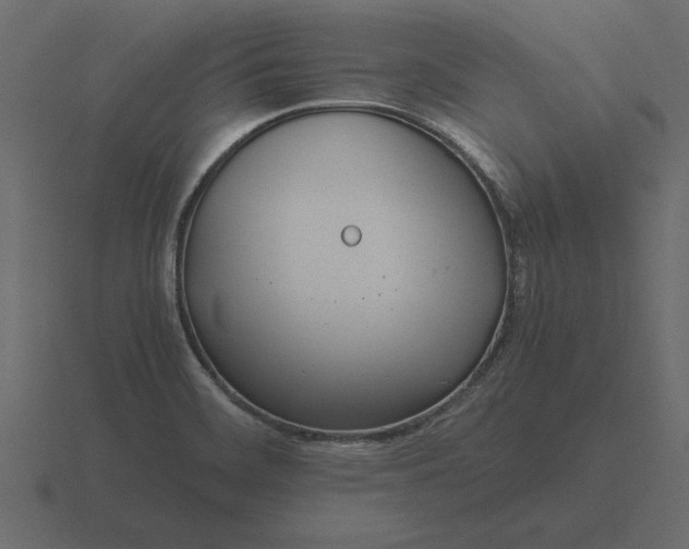 X0000116621468200912241743