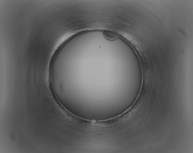 X0000116621469200912241743