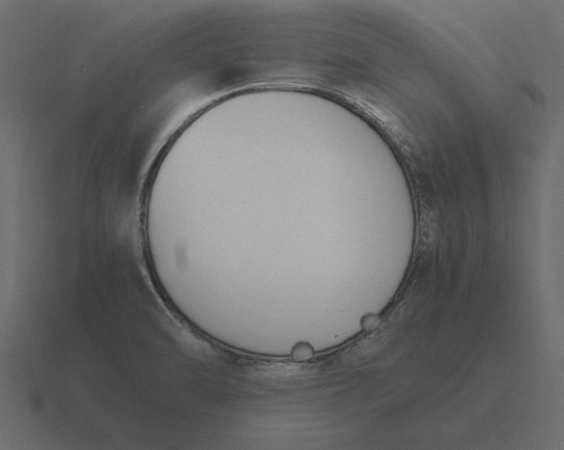 X0000116621470200912241743