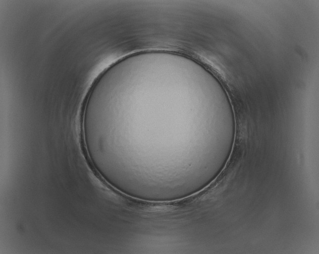 X0000116621471200912241743