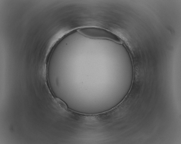 X0000116621472200912241743