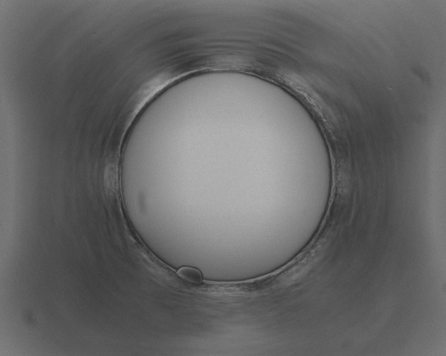 X0000116621473200912241743