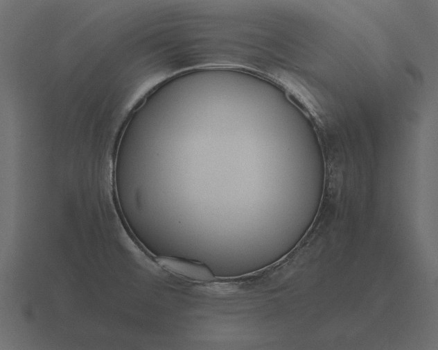 X0000116621476200912241743