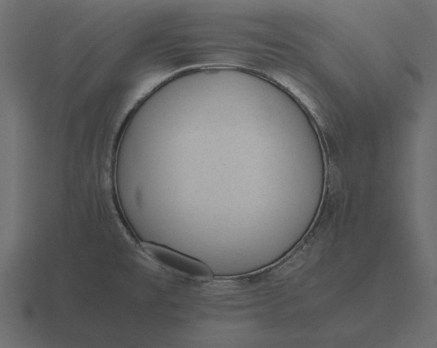 X0000116621477200912241743