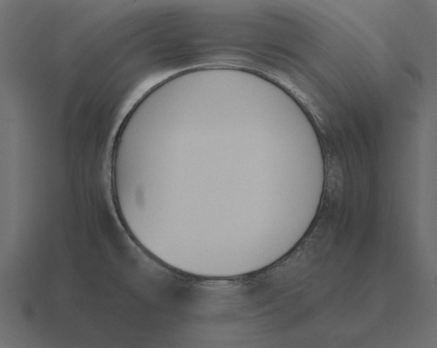 X0000116621478200912241743