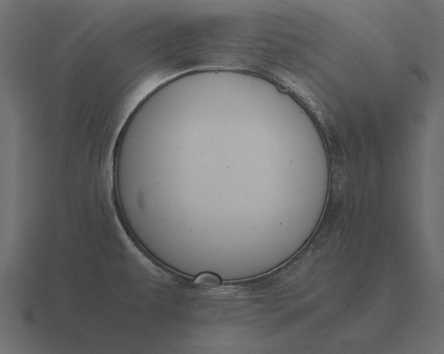 X0000116621479200912241743