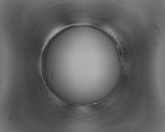 X0000116621480200912241743