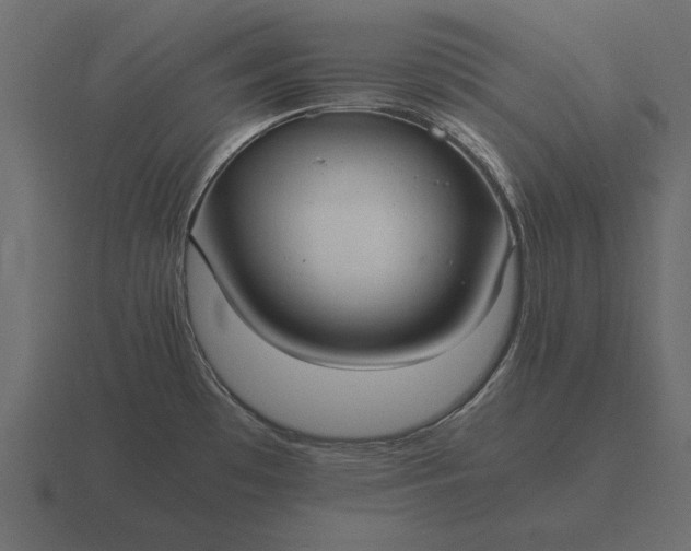 X0000116621481200912241743