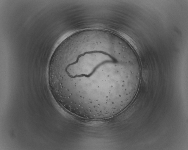 X0000116621482200912241743