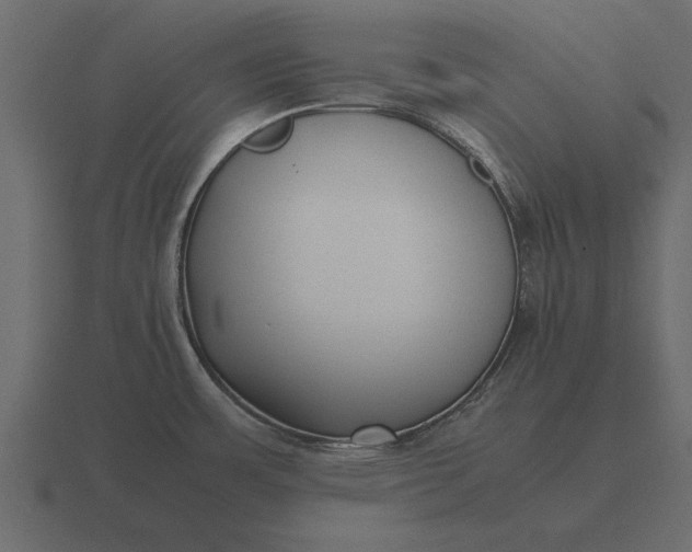 X0000116621483200912241743