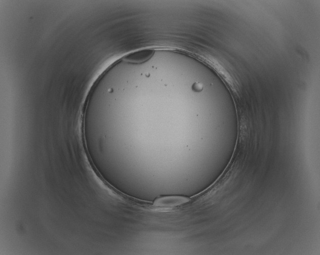 X0000116621484200912241743