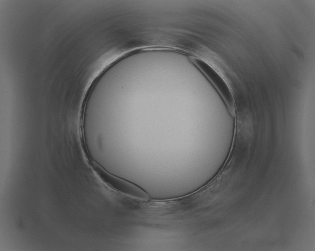 X0000116621485200912241743