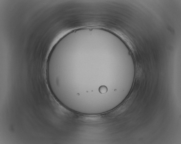 X0000116621486200912241743