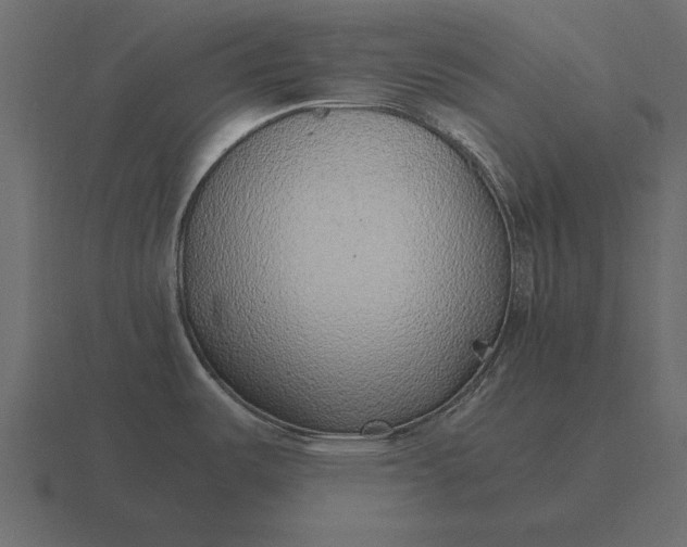 X0000116621487200912241743