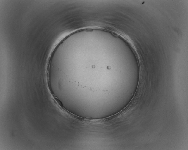 X0000116621488200912241743