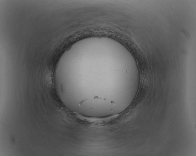 X0000116621490200912241742