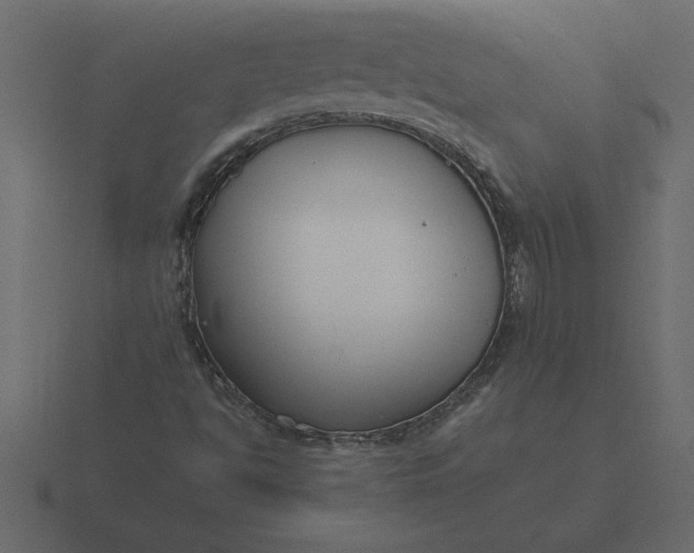 X0000116621494200912241742