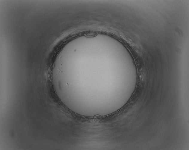 X0000116621495200912241742