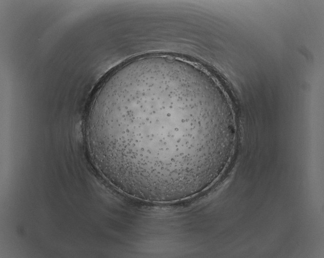 X0000116621497200912241742