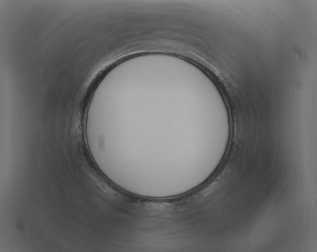 X0000116621498200912241742