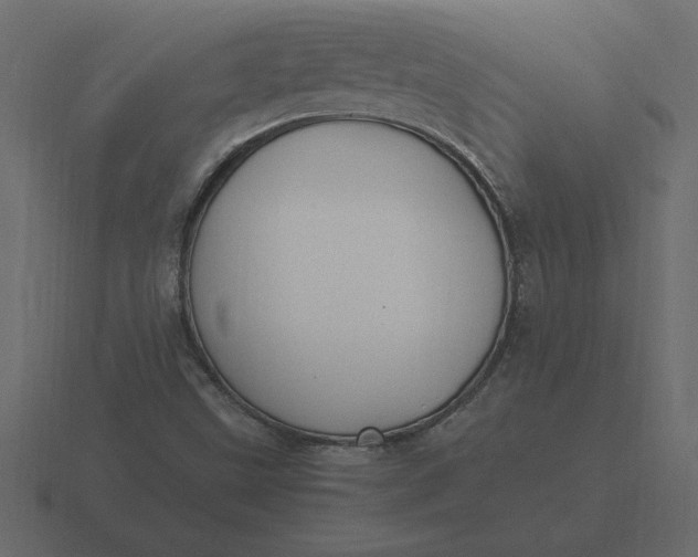 X0000116621499200912241742