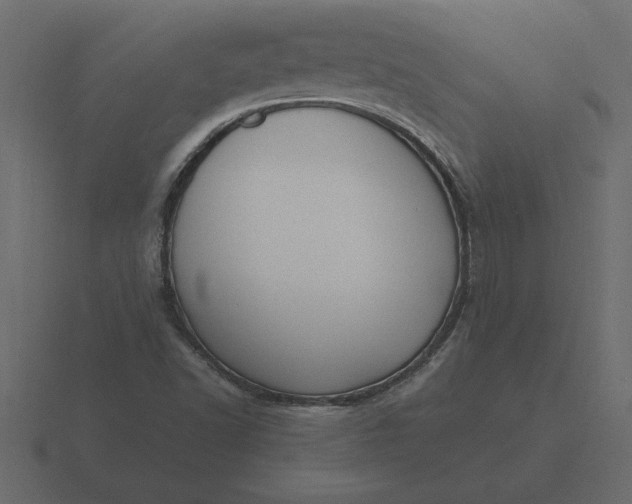 X0000116621502200912241742