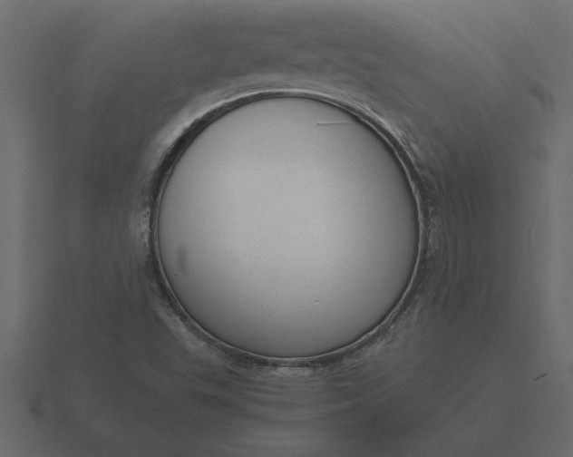 X0000116621503200912241742