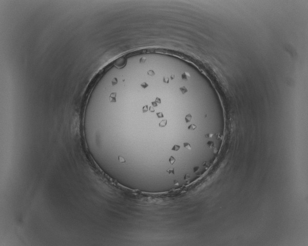 X0000116621505200912241742