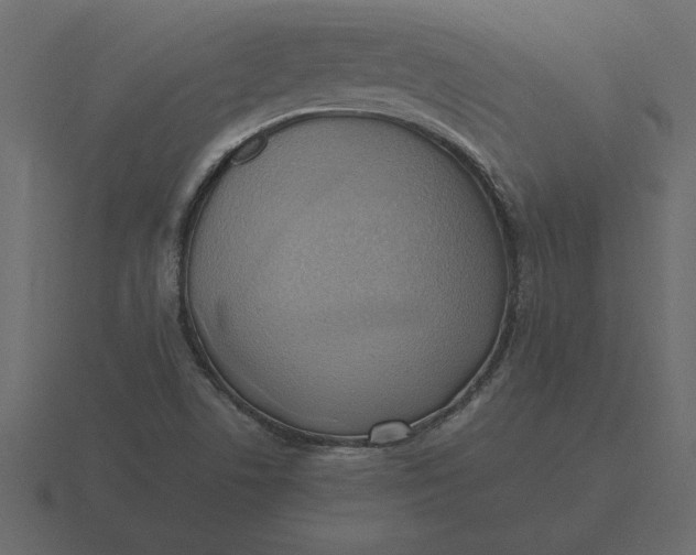 X0000116621506200912241742