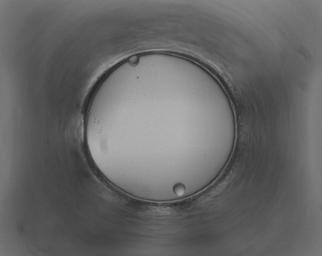 X0000116621509200912241742