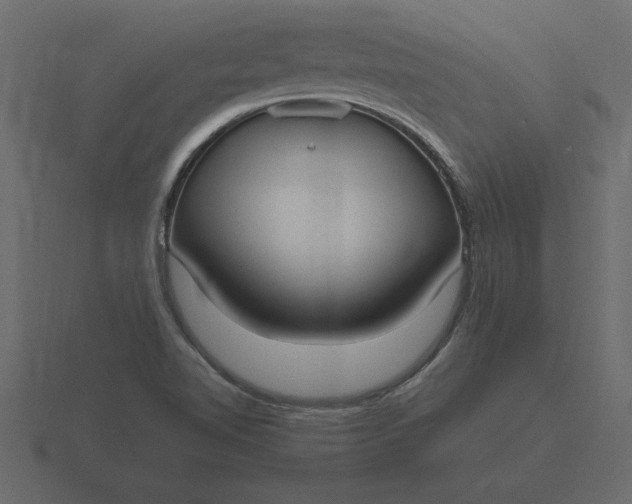 X0000116621510200912241742